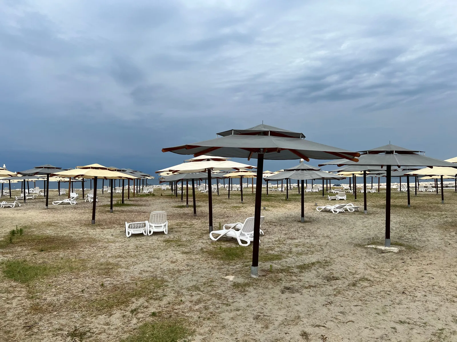 Rows of umbrellas and empty sunbeds on the sand at the quiet end of the season
