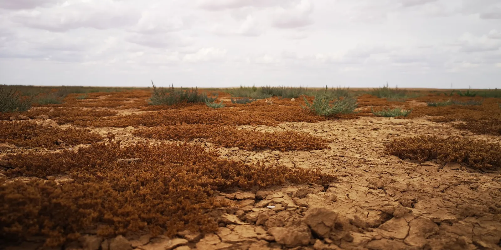 Empty semi desert landscape with low ridges near Davit Gareja