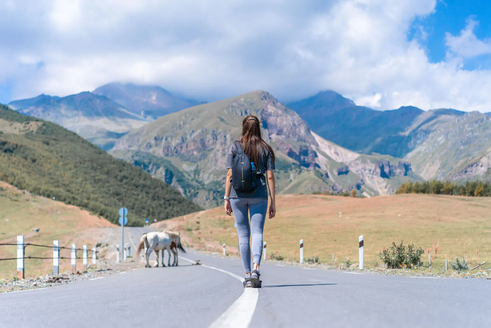 A lone traveller walking down an empty mountain road with horses grazing on the verge