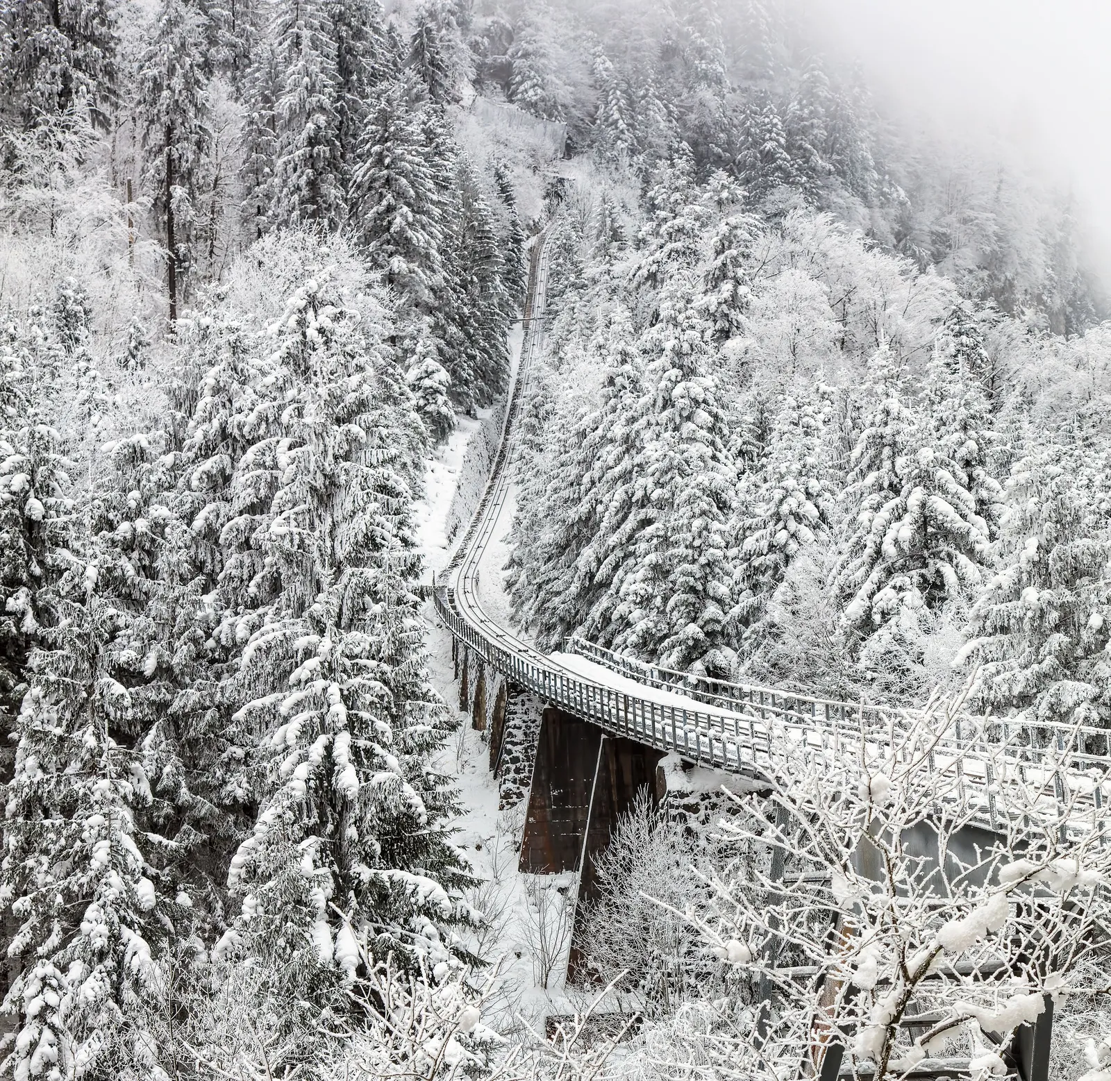 A railway viaduct curving through snow covered forest in the Georgian mountains