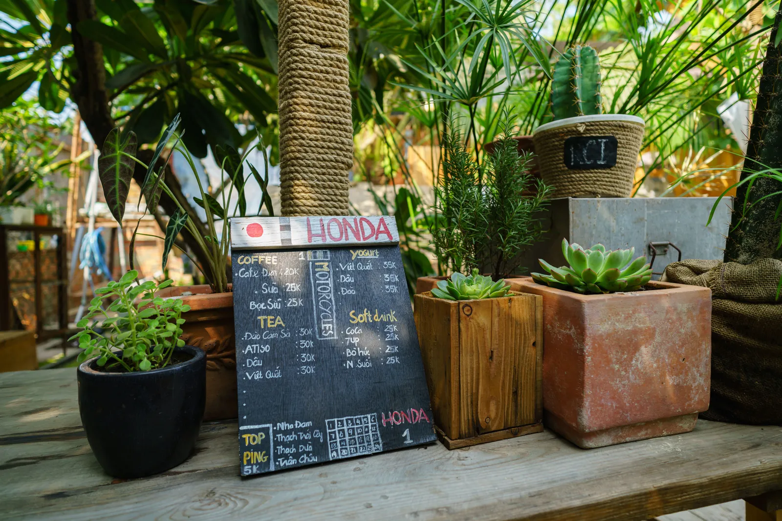 A handwritten menu board propped outside a small cafe among potted plants