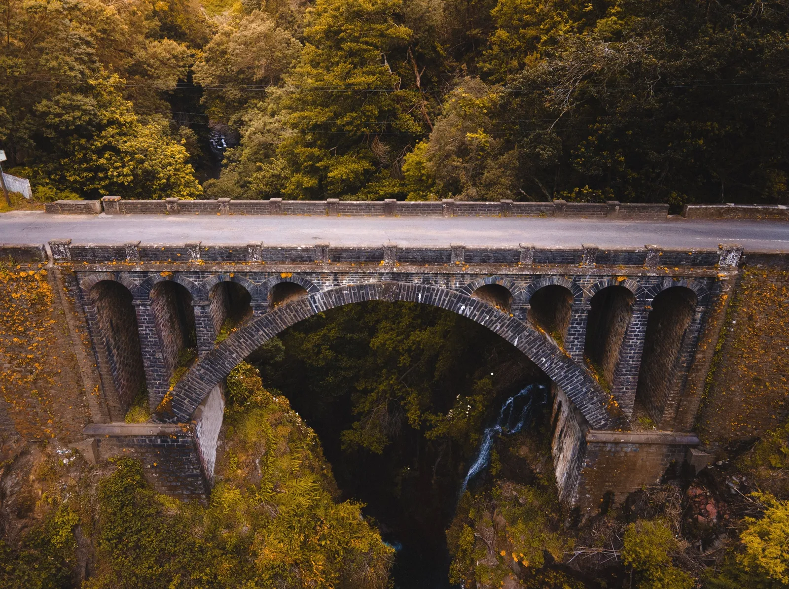 An old arched stone bridge over a fast river in a forested mountain valley in Adjara, Georgia