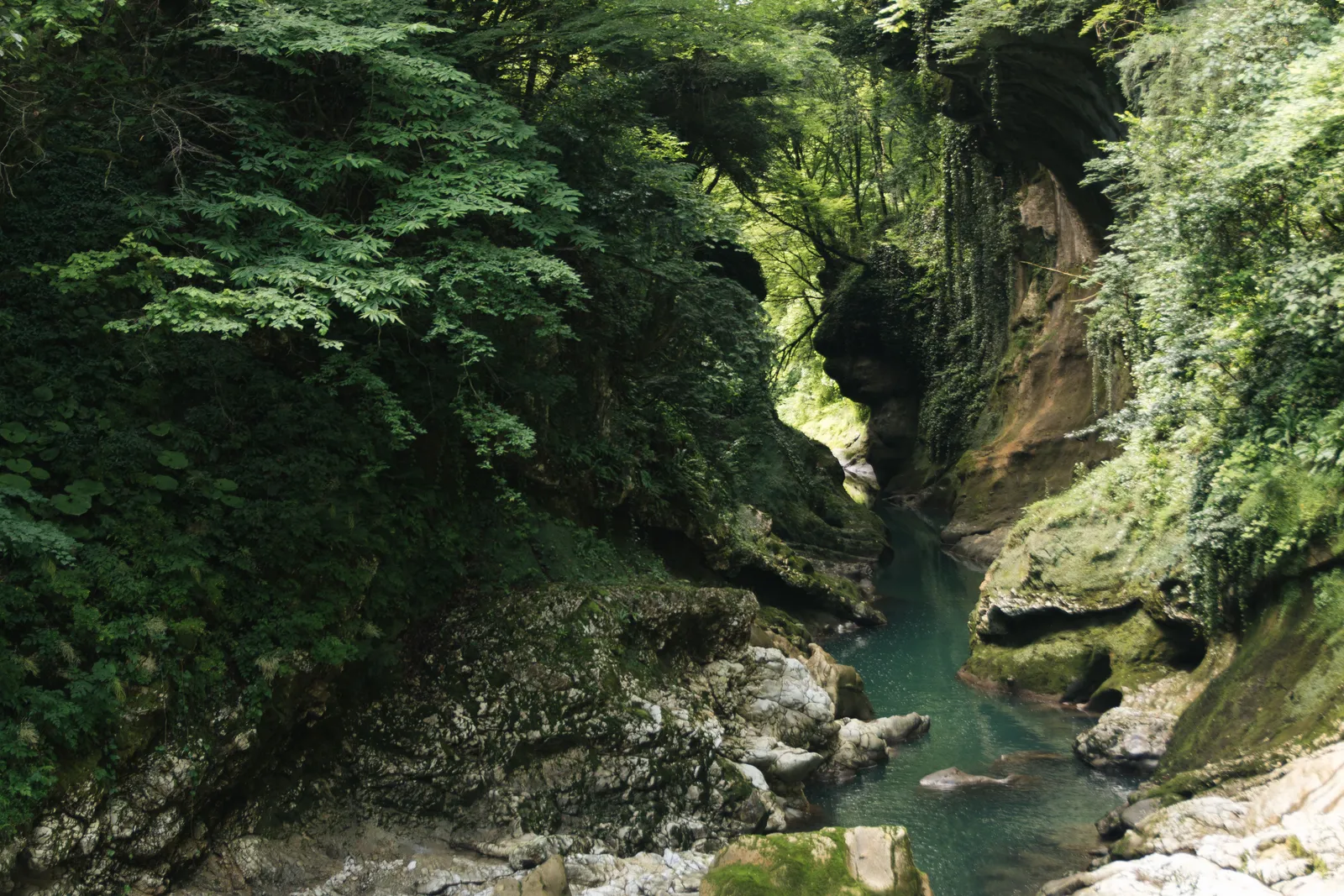 The turquoise river running between the mossy limestone walls of the Martvili canyon in western Georgia