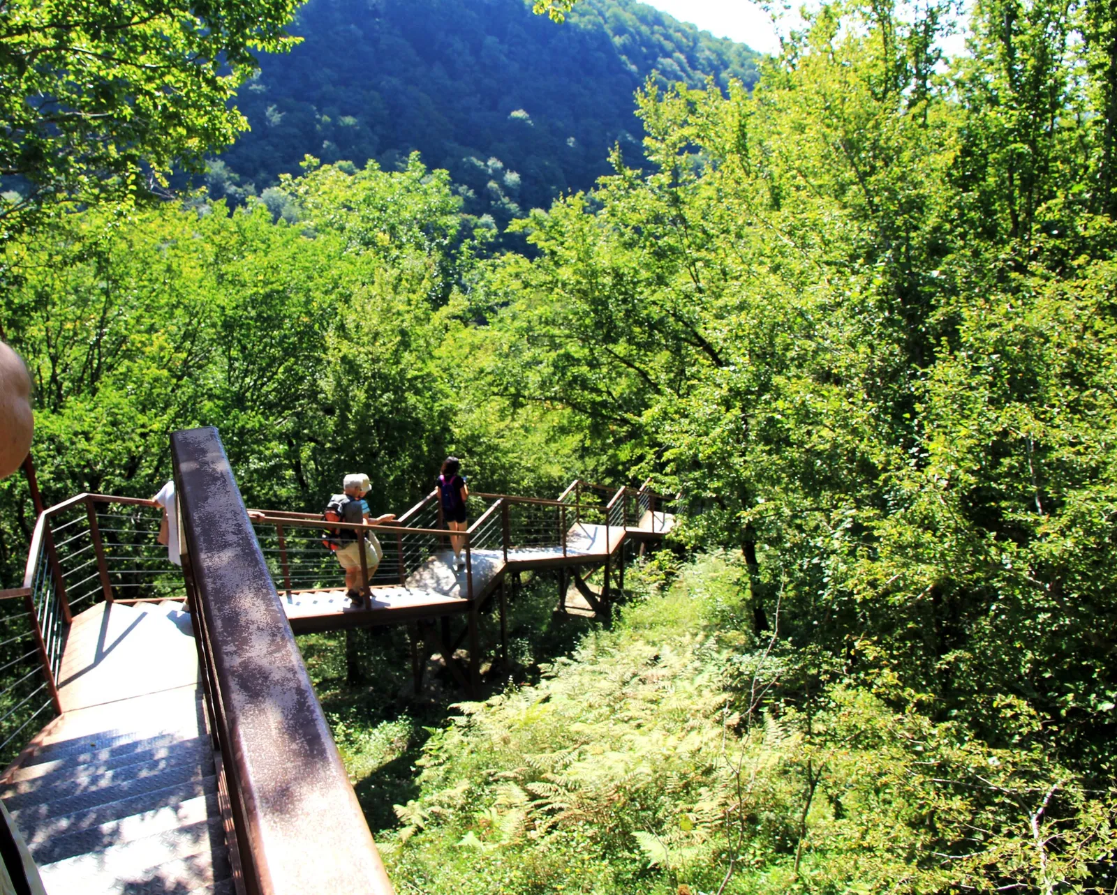 The metal walkway on stilts running through the forest above the Okatse canyon, with two walkers on it
