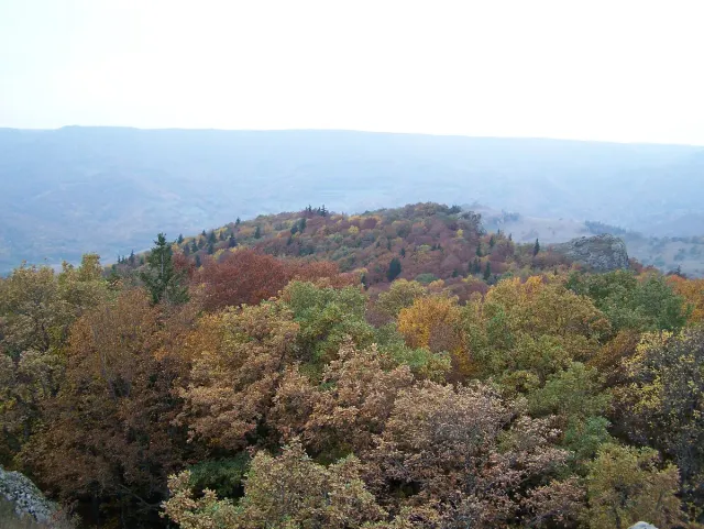 Forested hills in autumn colours stretching to the horizon