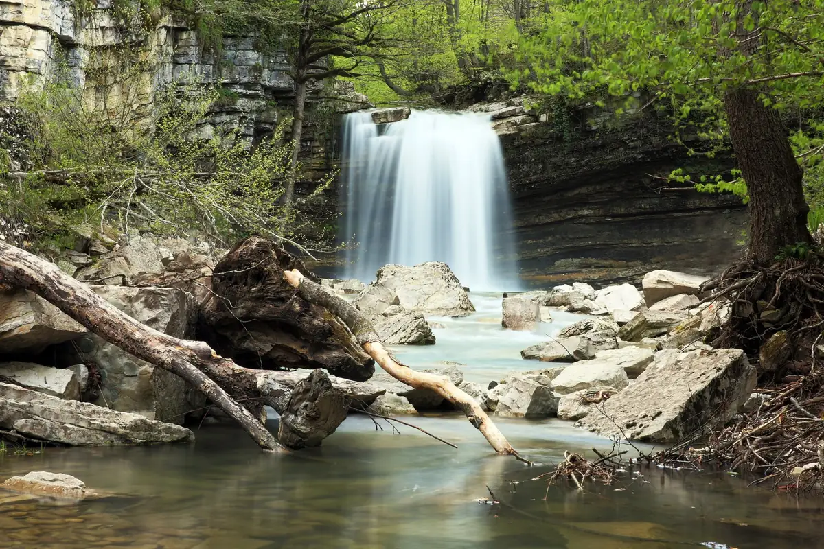 A white waterfall dropping from a rock ledge into a shallow pool strewn with fallen logs