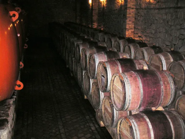 Rows of wooden barrels in a dim wine cellar beside a large red tank