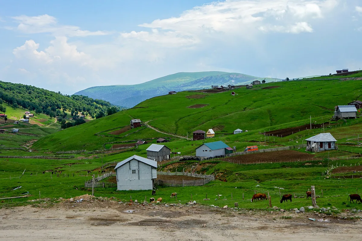 Green pasture with scattered houses and a ridge behind