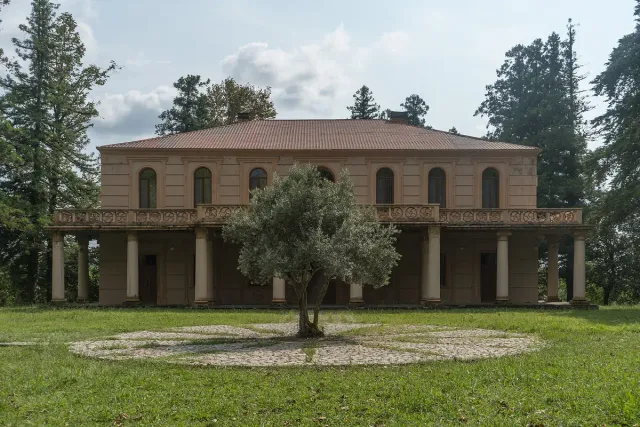 A two storey palace with a colonnaded veranda, a lawn and a single tree in front