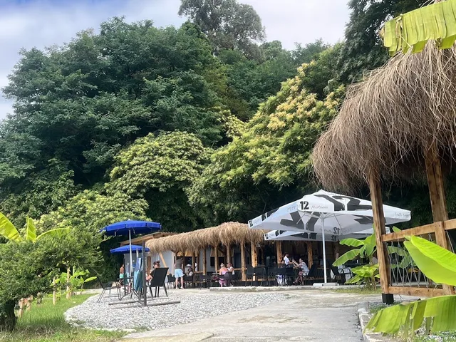 Thatched huts and parasols over outdoor tables, against a dense subtropical forest