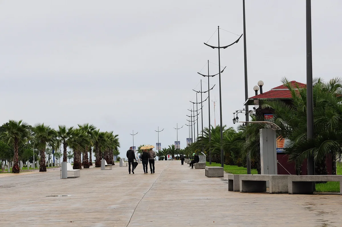 A seaside promenade with palms and lamp posts