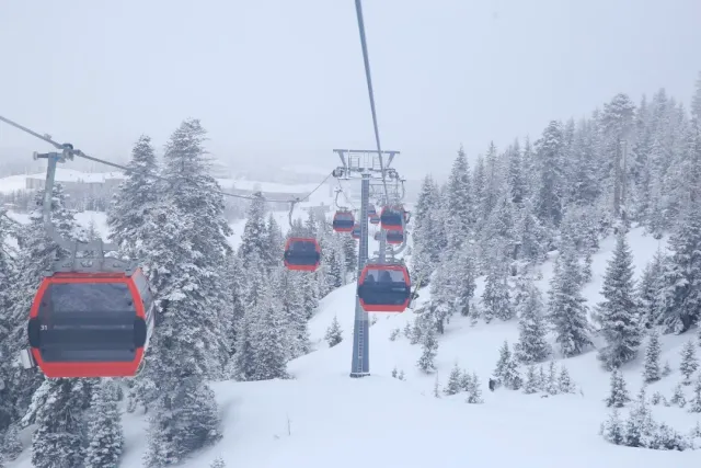 Red gondola cabins above snow covered fir trees in fog
