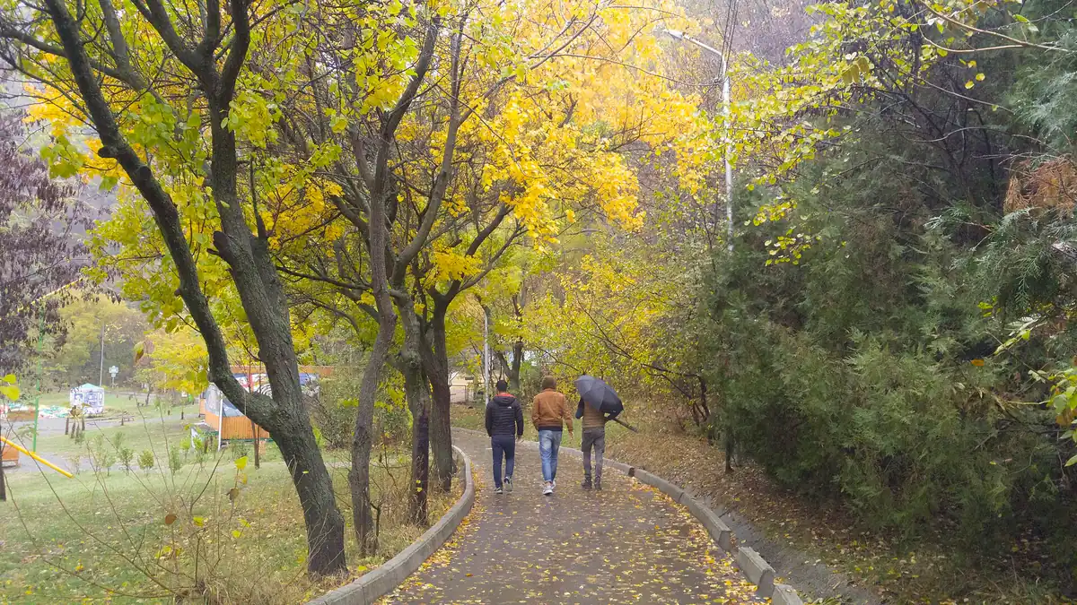 A path between autumn trees with people walking