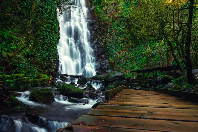 A waterfall among moss covered rocks in a green forest, with a wooden bridge across the front of the frame