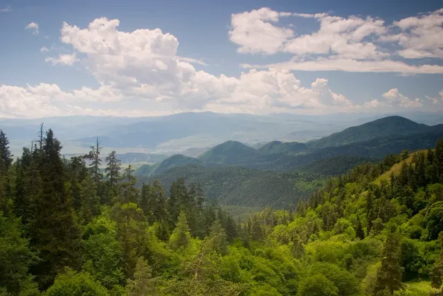 Green forested mountain ridges to the horizon under a cloudy sky