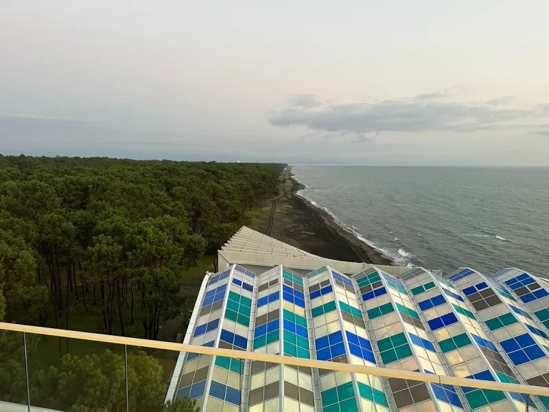 An elevated view of the dark sand shoreline at Shekvetili, pine forest meeting the Black Sea, with a colourful glass roof in the foreground