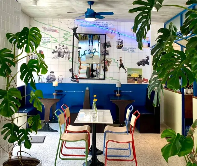 A space with a white and blue tiled wall, a blue bench, colorful chairs and large plants