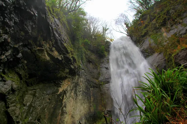 A narrow waterfall dropping down a rock face into green vegetation