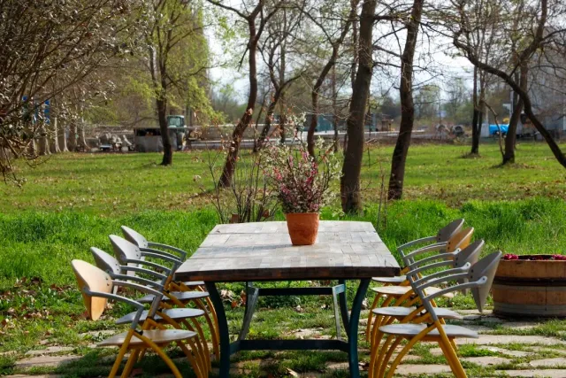 A wooden table and folding chairs on grass among trees, with a flowering pot at the centre