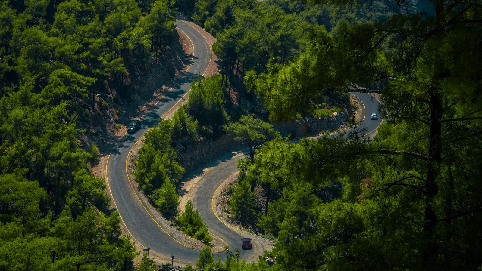 A narrow paved road curving through dense green forested mountains