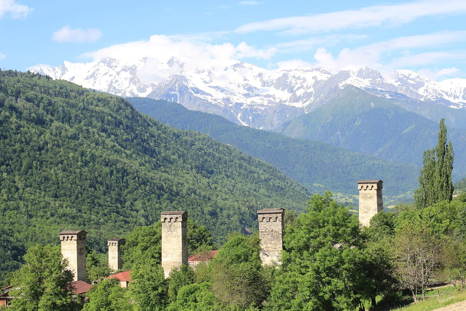 Stone towers of a Svan village in the upper Enguri valley with mountain pasture around them